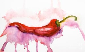 Chili Pepper by Regina Jershova 